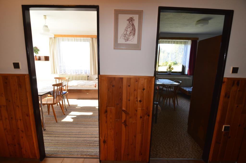 Apartman Braun ロキトニツェ・ナト・イゼロウ 部屋 写真