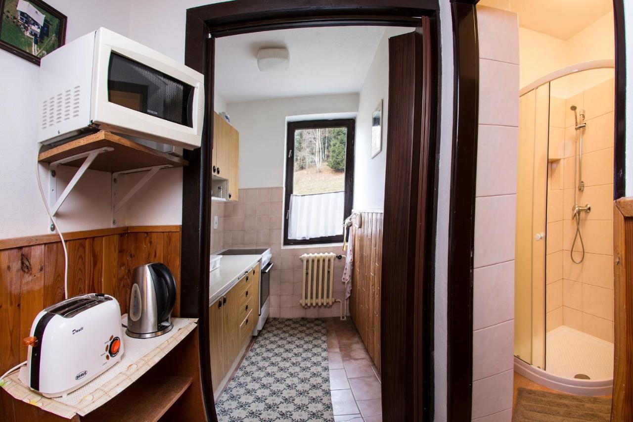 Apartman Braun ロキトニツェ・ナト・イゼロウ エクステリア 写真