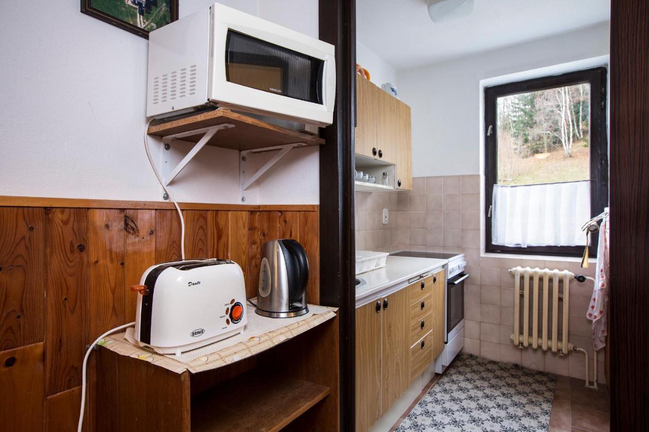 Apartman Braun ロキトニツェ・ナト・イゼロウ エクステリア 写真